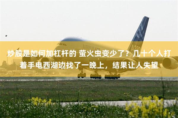 炒股是如何加杠杆的 萤火虫变少了？几十个人打着手电西湖边找了一晚上，结果让人失望