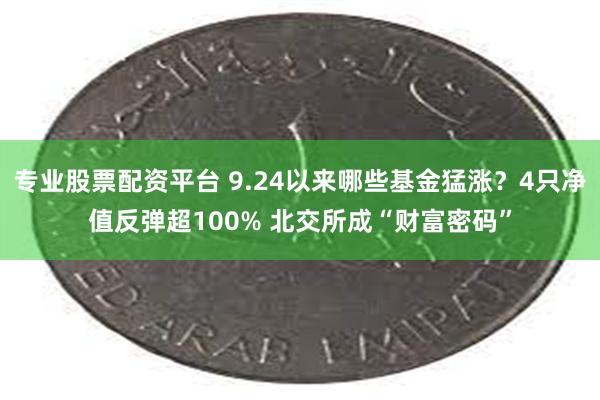 专业股票配资平台 9.24以来哪些基金猛涨？4只净值反弹超100% 北交所成“财富密码”
