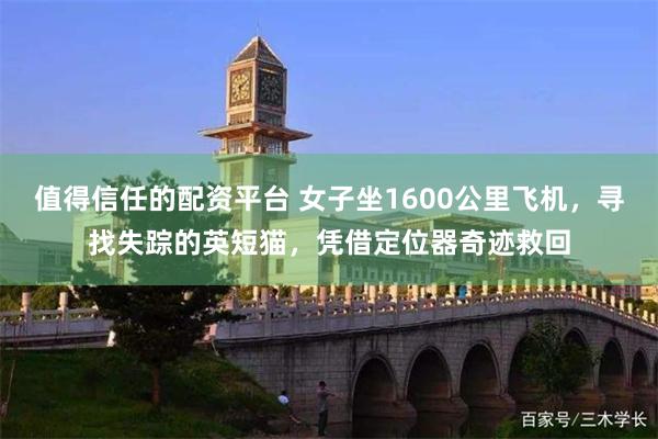 值得信任的配资平台 女子坐1600公里飞机，寻找失踪的英短猫，凭借定位器奇迹救回