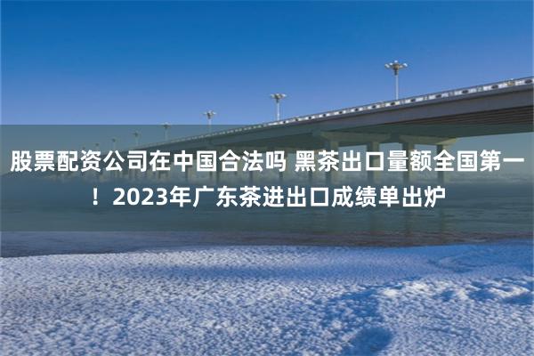 股票配资公司在中国合法吗 黑茶出口量额全国第一！2023年广东茶进出口成绩单出炉