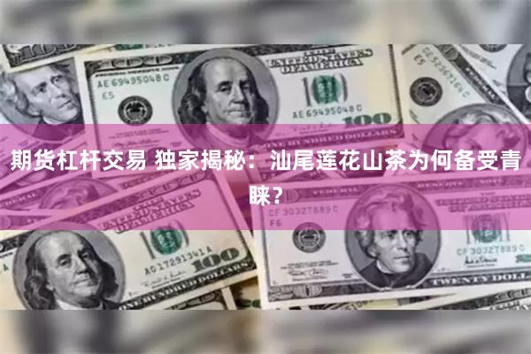 期货杠杆交易 独家揭秘：汕尾莲花山茶为何备受青睐？