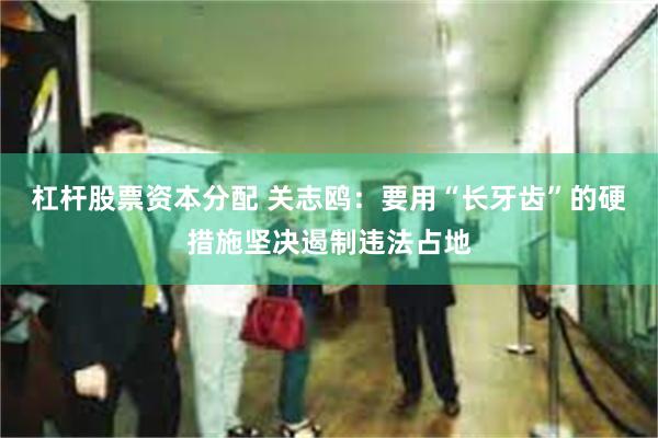 杠杆股票资本分配 关志鸥：要用“长牙齿”的硬措施坚决遏制违法占地