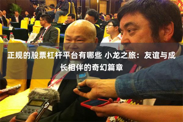 正规的股票杠杆平台有哪些 小龙之旅：友谊与成长相伴的奇幻篇章