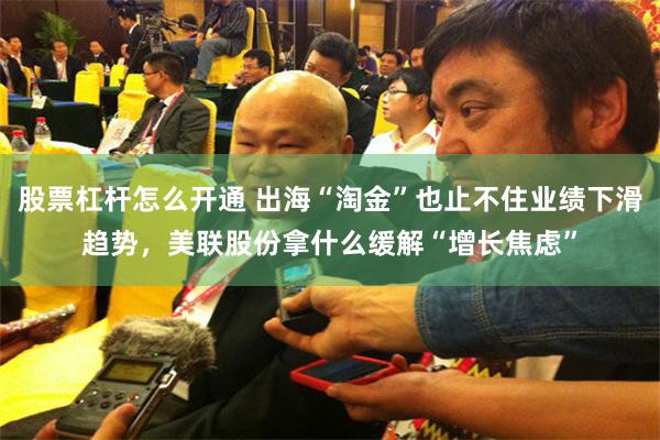 股票杠杆怎么开通 出海“淘金”也止不住业绩下滑趋势，美联股份拿什么缓解“增长焦虑”