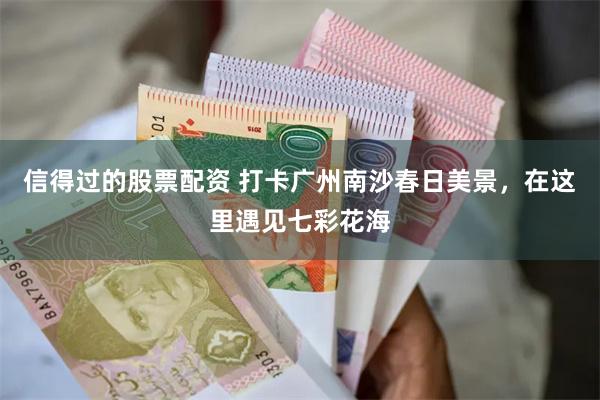 信得过的股票配资 打卡广州南沙春日美景，在这里遇见七彩花海