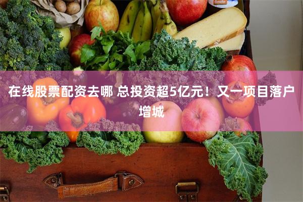在线股票配资去哪 总投资超5亿元！又一项目落户增城