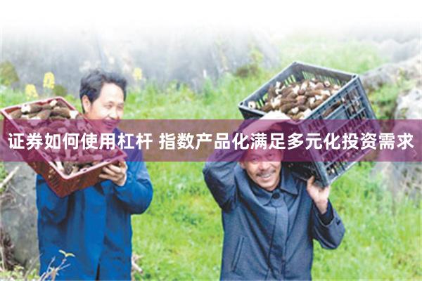 证券如何使用杠杆 指数产品化满足多元化投资需求