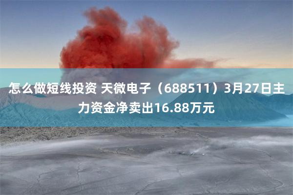 怎么做短线投资 天微电子（688511）3月27日主力资金净卖出16.88万元