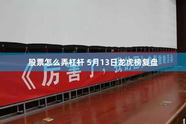 股票怎么弄杠杆 5月13日龙虎榜复盘