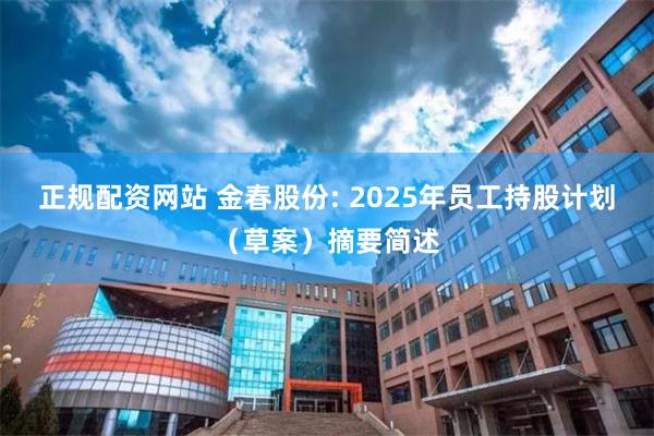 正规配资网站 金春股份: 2025年员工持股计划（草案）摘要简述