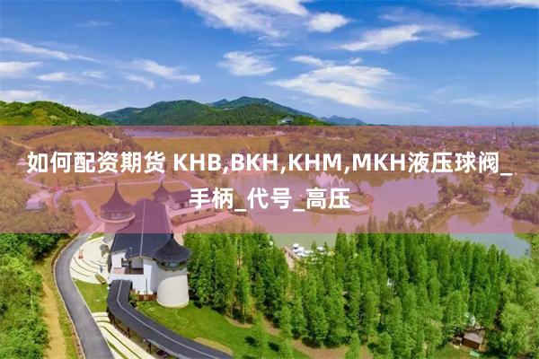 如何配资期货 KHB,BKH,KHM,MKH液压球阀_手柄_代号_高压