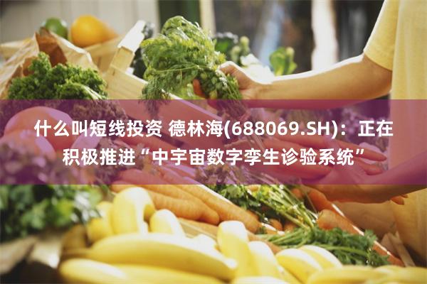 什么叫短线投资 德林海(688069.SH)：正在积极推进“中宇宙数字孪生诊验系统”