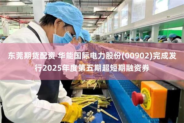东莞期货配资 华能国际电力股份(00902)完成发行2025年度第五期超短期融资券