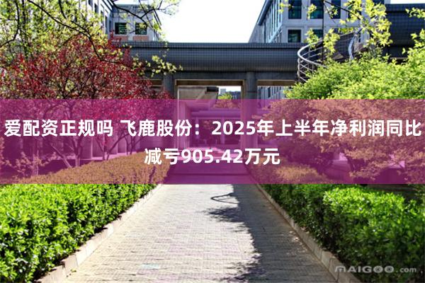 爱配资正规吗 飞鹿股份：2025年上半年净利润同比减亏905.42万元
