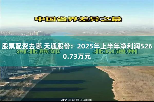 股票配资去哪 天通股份：2025年上半年净利润5260.73万元