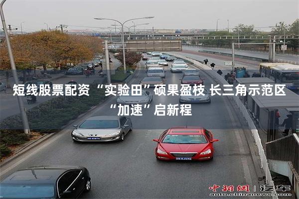 短线股票配资 “实验田”硕果盈枝 长三角示范区“加速”启新程