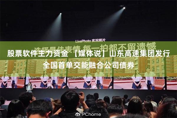 股票软件主力资金 【媒体说】山东高速集团发行全国首单交能融合公司债券